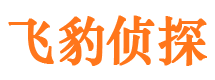 头屯河市私家侦探